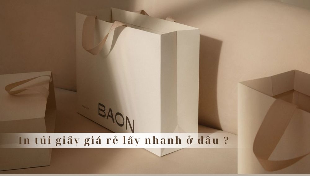 In Túi Giấy Giá Rẻ Lấy Nhanh Ở Đâu? Bí Quyết Tìm Xưởng In Uy Tín