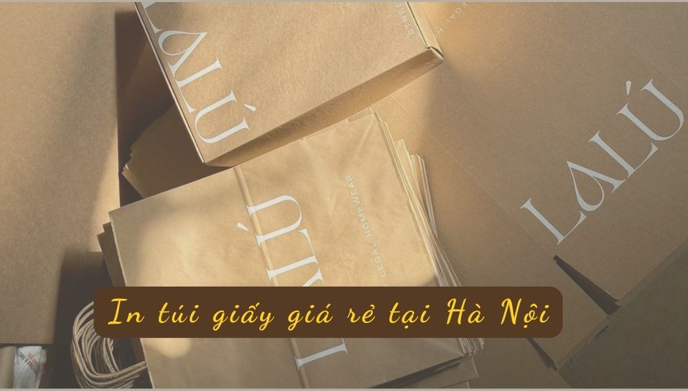 Giải Đáp Từ A-Z: In Túi Giấy Giá Rẻ Tại Hà Nội Ở Đâu Uy Tín ?